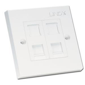 CAT6 Single Wall Plate With 2 X Rj-45 Shuttered Socket Unshielded